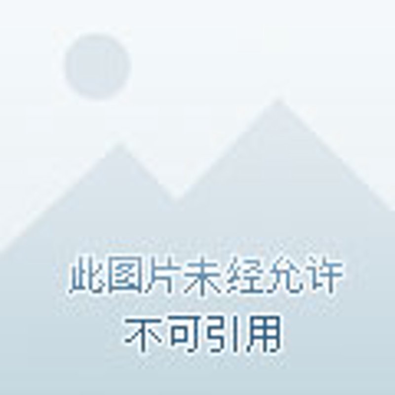 羽毛球培训：从入门到高手的必修之路